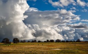 Ukiah glamping