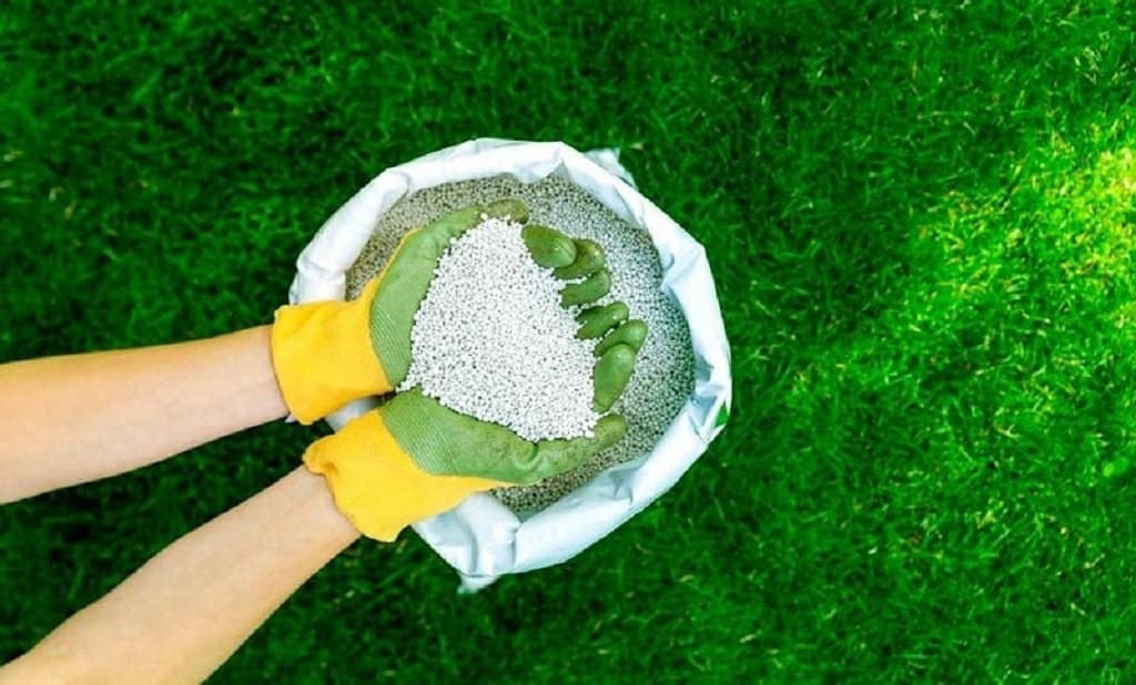 turf fertilizers