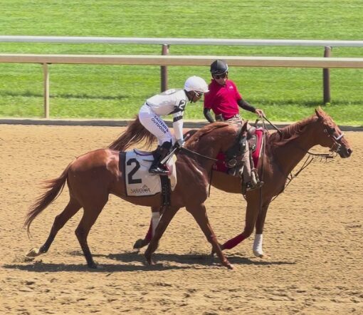 jockey silks design